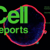 Cell Reports