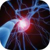 Neuro 12 app