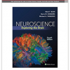 neurociencia - libro